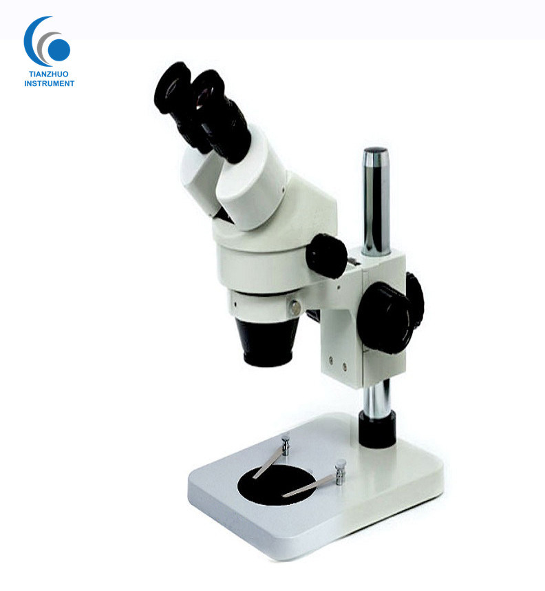 Binocular Stereo Microscope