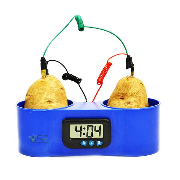 Fruit Potato Clock