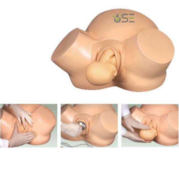 Midwifery Training Simulator Model