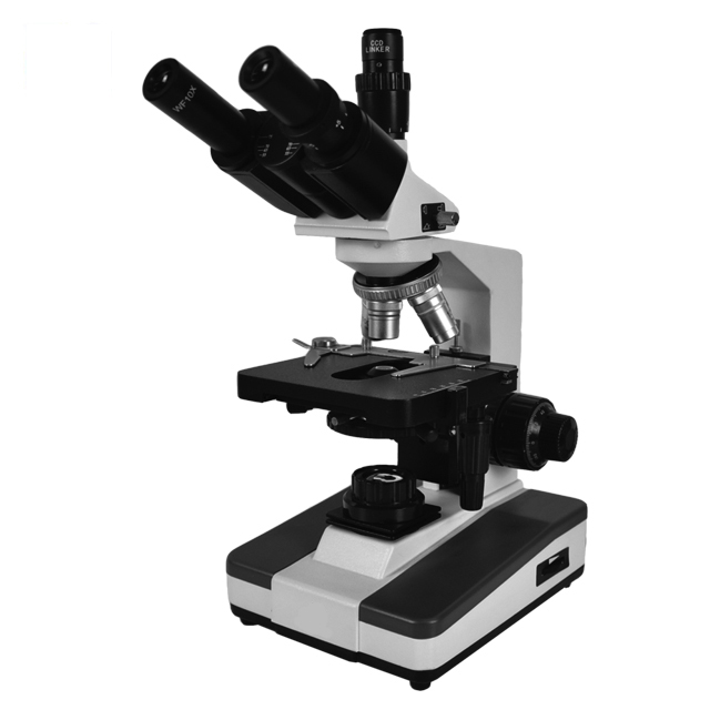 Compound Microscope