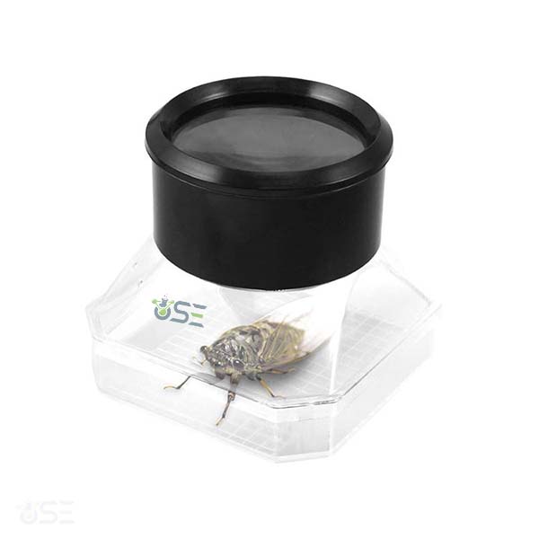 Bug Viewer Box