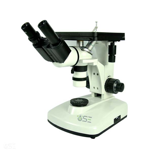 Zoom Stereo Microscope